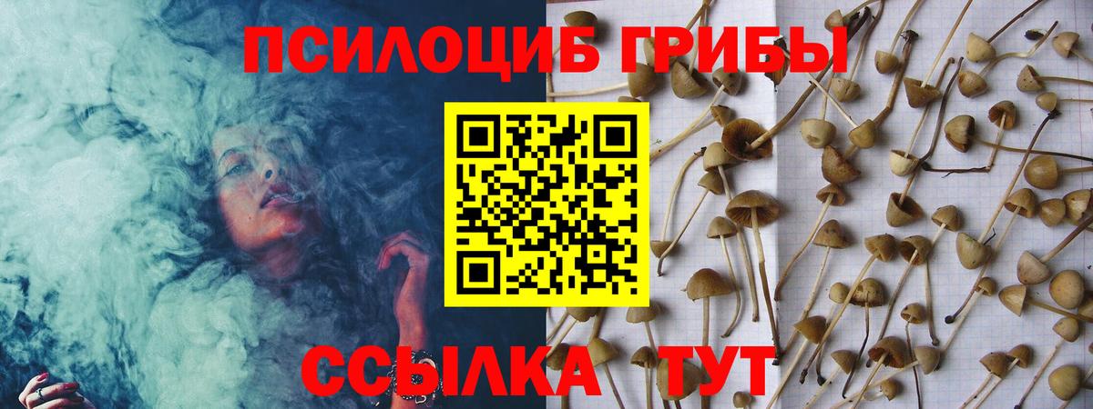 Протвино  купить  цена  Вход с VPN  Галлюциногенные грибы GOLDEN TEACHER 